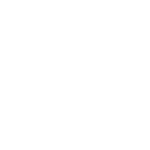 Icon showing a head with a lightbulb in it